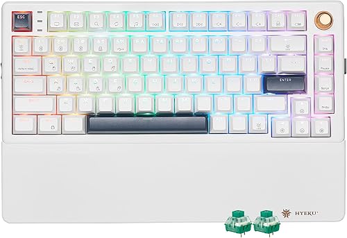 Teclado mecánico inalámbrico con reposamuñecas, teclado personalizado intercambiable en caliente con perilla, retroiluminación RGB, interruptores