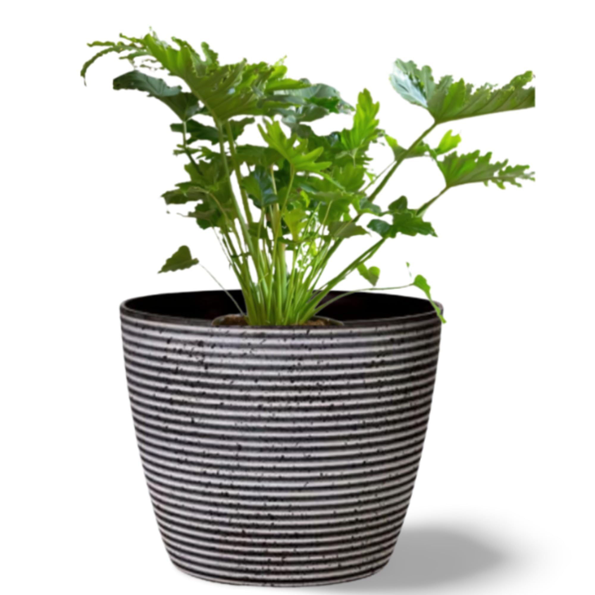 Garden Art Pack of 1 Fiber Pot | Size 20.5X17.7cm | Unbreakable,Durable Planters | Best for Kitchen, Terrace, Garden | for All Kind of Bushy Artificial and Live Plants (Rock Gray D-20.5) GA-01C-008 (B0CH531BPM) Amazon Price History, Amazon Price Tracker