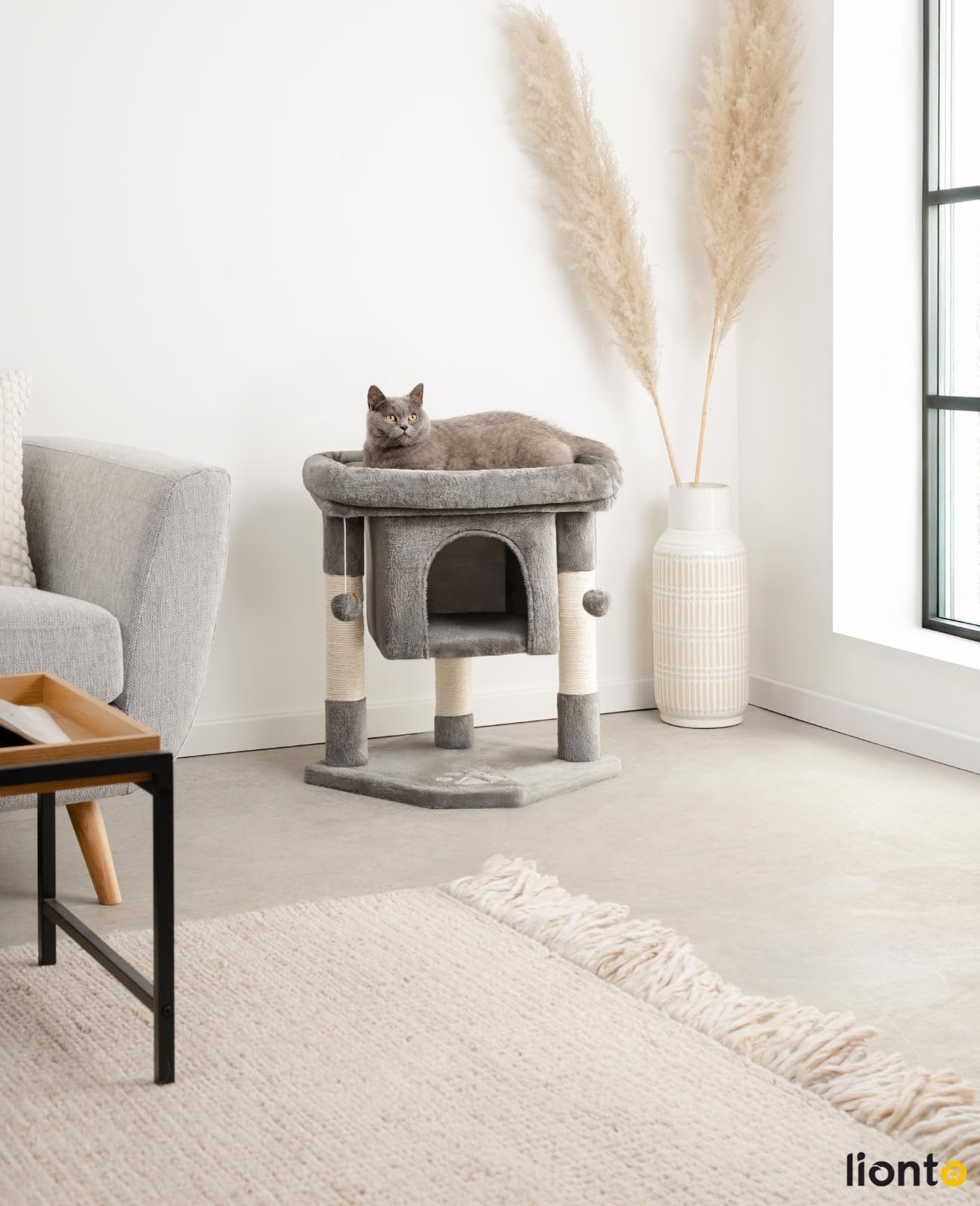 lionto Árbol rascador para Gatos Altura 60 cm, Gris Oscuro