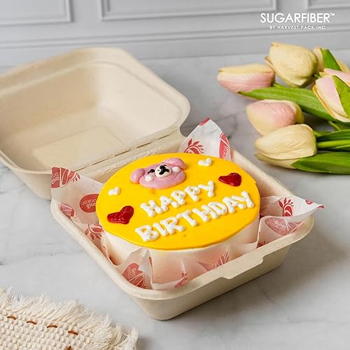 Miniatura 9 de 500 unidades Fibra de azúcar por Harvest Pack PFAS FREE 6 x 6 pulgadas compostable Clamshell Recipientes de alimentos, contenedor con bisagras