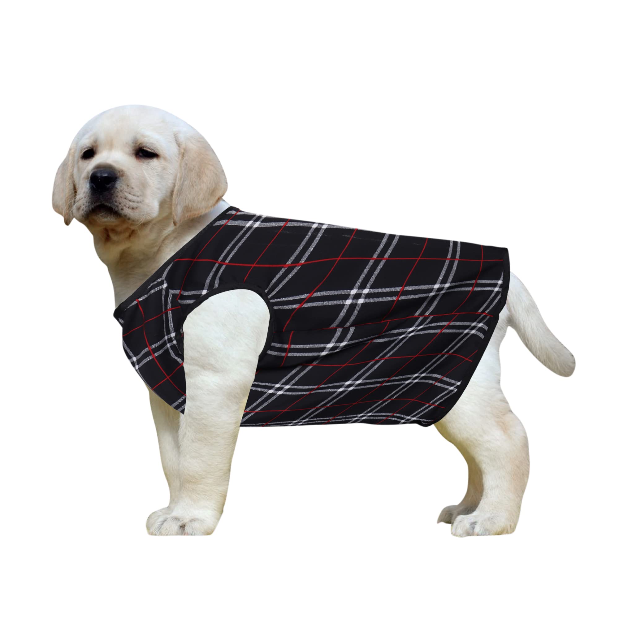 Western Era Funky Soft Cotton Dog T-Shirt | Comfortable & Breathable Dog Clothing | Sleeveless Vest Puppy Outfit |(Square Check Print) (Large) (20inches) (B09WR3HB1M) Amazon Price History, Amazon Price Tracker