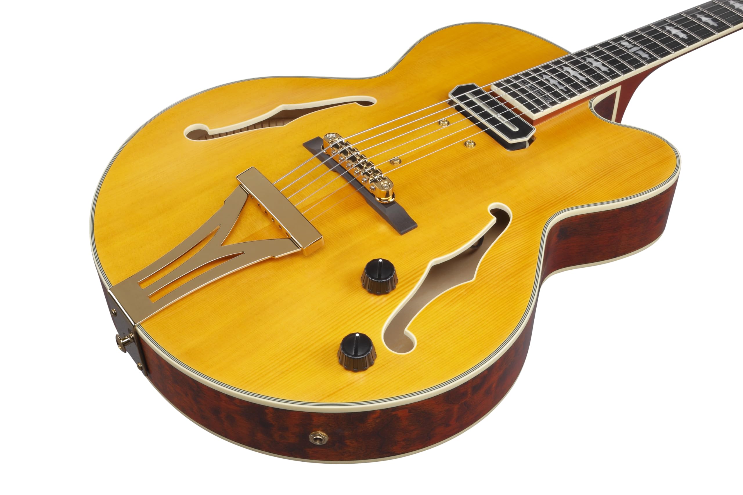 Amazon.com: Ibanez PM3C Pat Metheny Signature Hollowbody Electric