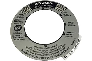 Hayward 4-Way Replacement Valve, Genuine OEM Replacement Hayward