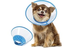 Vivifying Dog Cone Collar for Small Dogs