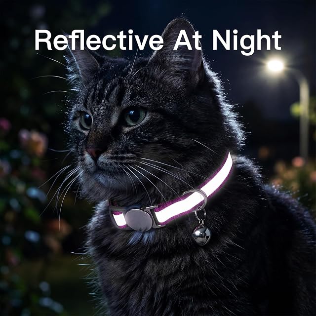 Foto 6 de 6 de Collar de gato reflectante personalizado con etiqueta de nombre