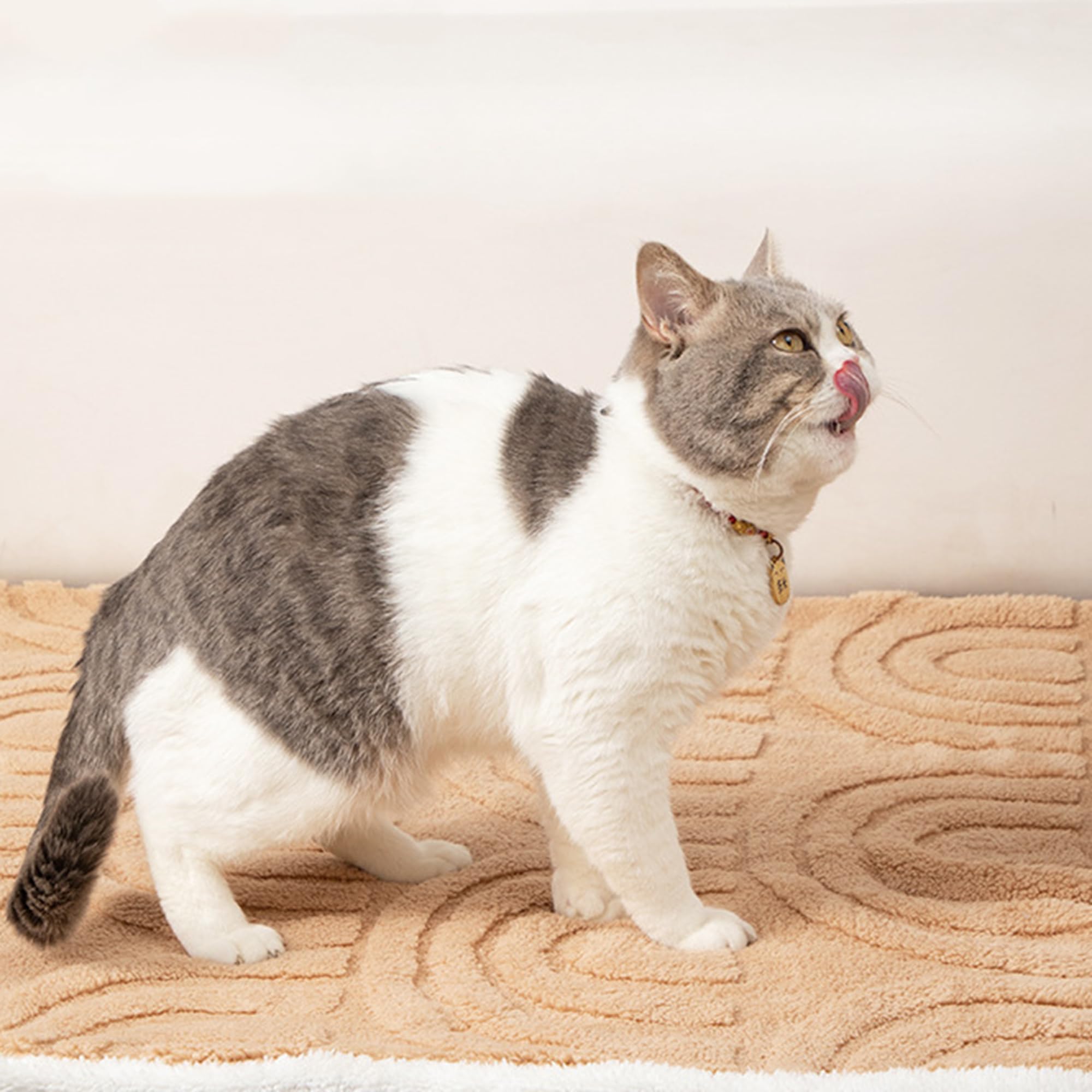 Coperta per animali domestici grande, versatile per cani, gatti e gatti, coperta calmante per letto, divano, lavabile in lavatrice, coperta per animali domestici (grigio chiaro, 180 x 160 cm)