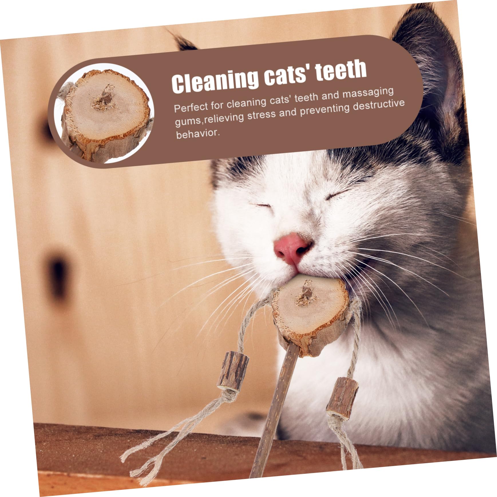Jouets pour Chats, Lot de 6 Jouets interactifs for Le Nettoyage des Dents et soulagement du Stress Chatons d'intérieur