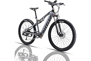 Urtopia Electric Bike: Conquer Trails with Power and Grace