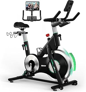 Exercise Bike, DMASUN Silent Magnetic Exercise Bike with LCD Display, 0-100% Adjustable Resistance, Solid Flywheel, Soft a…