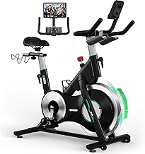 Exercise Bike, DMASUN Silent Magnetic Exercise Bike with LCD Display, 0-100% Adjustable Resistance, Solid Flywheel, Soft and Comfortable Seat, Load Capacity 160 kg