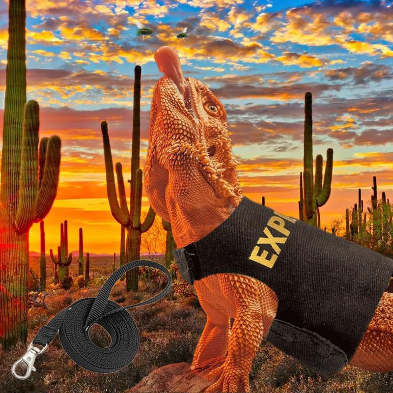 CQJ Bearded Dragon Leash and Harness Set, Adjustable Lizard Reptile Leash for Small Pets - Outdoor Safety Walking (Explorer Character) - Image 2