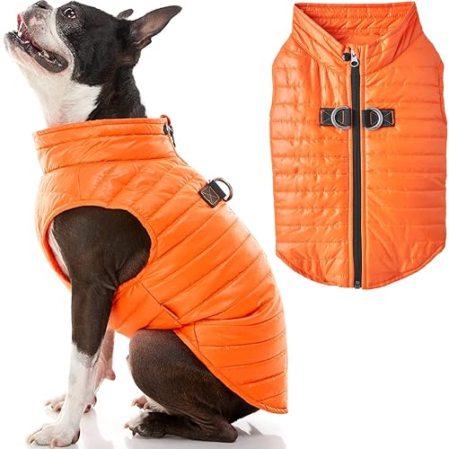 GOOBY Chaleco Acolchado para Perro, Chaqueta Ultraligera con Cremallera y Correa de Doble Anillo en D