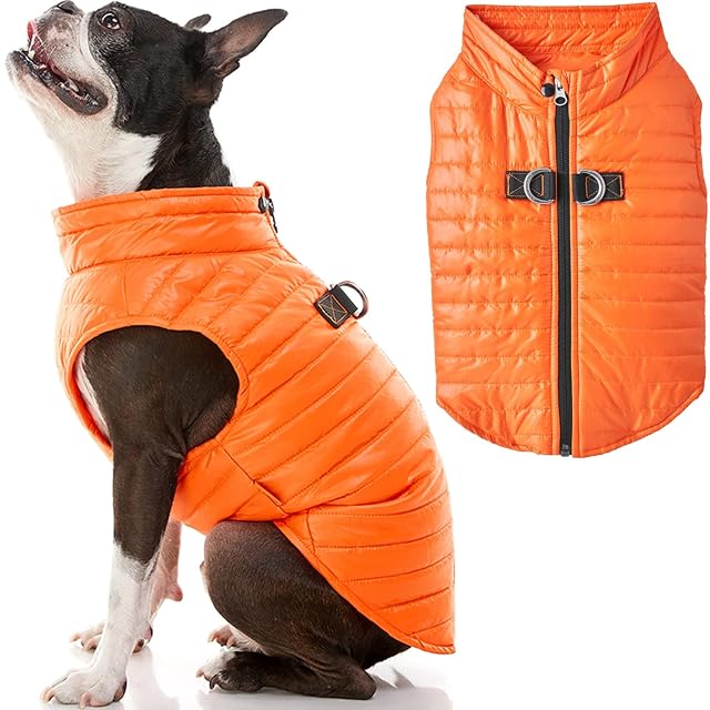 GOOBY Chaleco Acolchado para Perro, Chaqueta Ultraligera con Cremallera y Correa de Doble Anillo en D