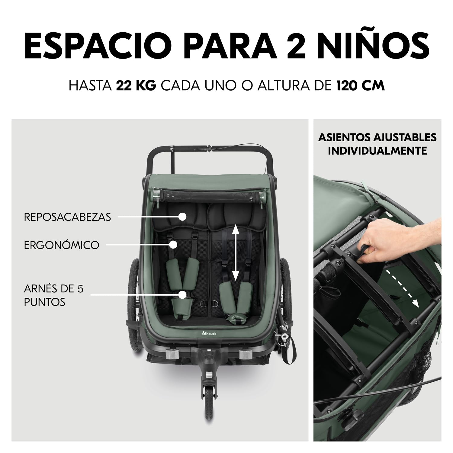 hauck Bike N Walk Duo Set Completo 3 en 1 Remolque Bicicleta 2 Niños - Silla de Paseo Doble Plegable Desde 6 Meses hasta 22 kg o 120 cm - Suspensión - Freno de Mano - Maletero - Verde