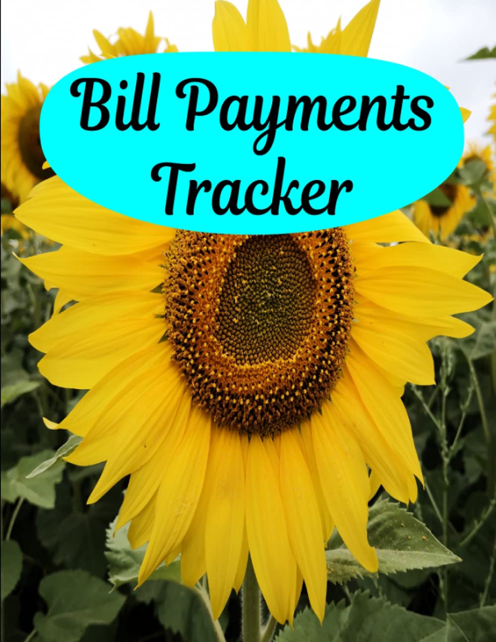 Buy Bill Payment Tracker Bills payment tracker, Bills tracker month