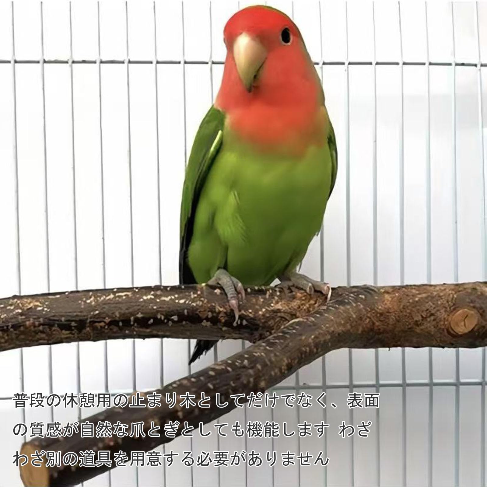 Amazon | 鳥 とまり木 インコ とまり木 天然木 4本 セット 止まり木 爪