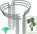 Joyhalo 6 Pack Plant Support Stakes, 16 Inch Peony Cages and Supports, Flower Stakes with 15 Pcs Plant Labels, Peonies Support Cages Garden Sticks for Plants Tomato, Hydrangea, Rose, Hyphosis