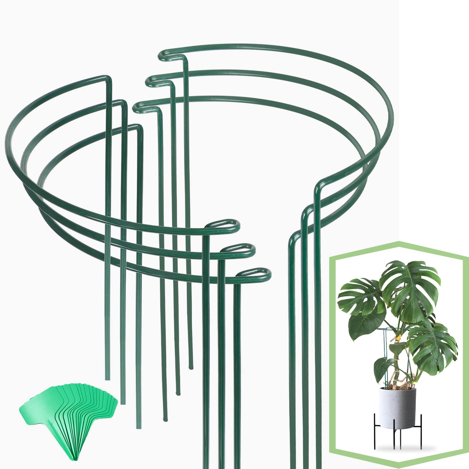 Snapklik.com : Joyhalo 6 Pack Plant Support Stakes, 16 Inch Peony Cages ...
