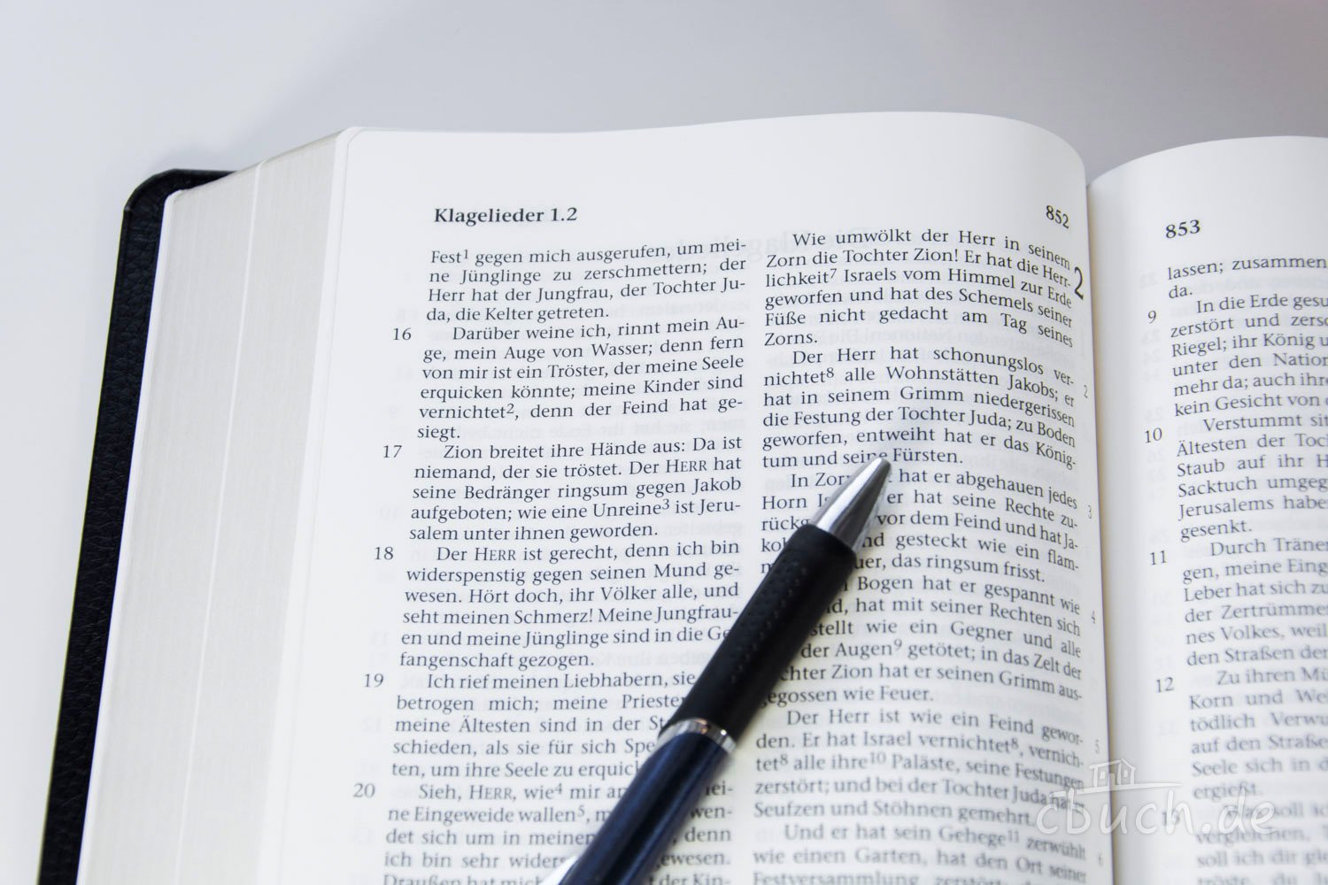 Die Bibel - Großausgabe (Leder): Elberfelder Überarbeitung 2003, Edition CSV-Hückeswagen, Hausbibel, feines Kalbsleder, schwarz, flexibel, Goldschnitt, mit Karten