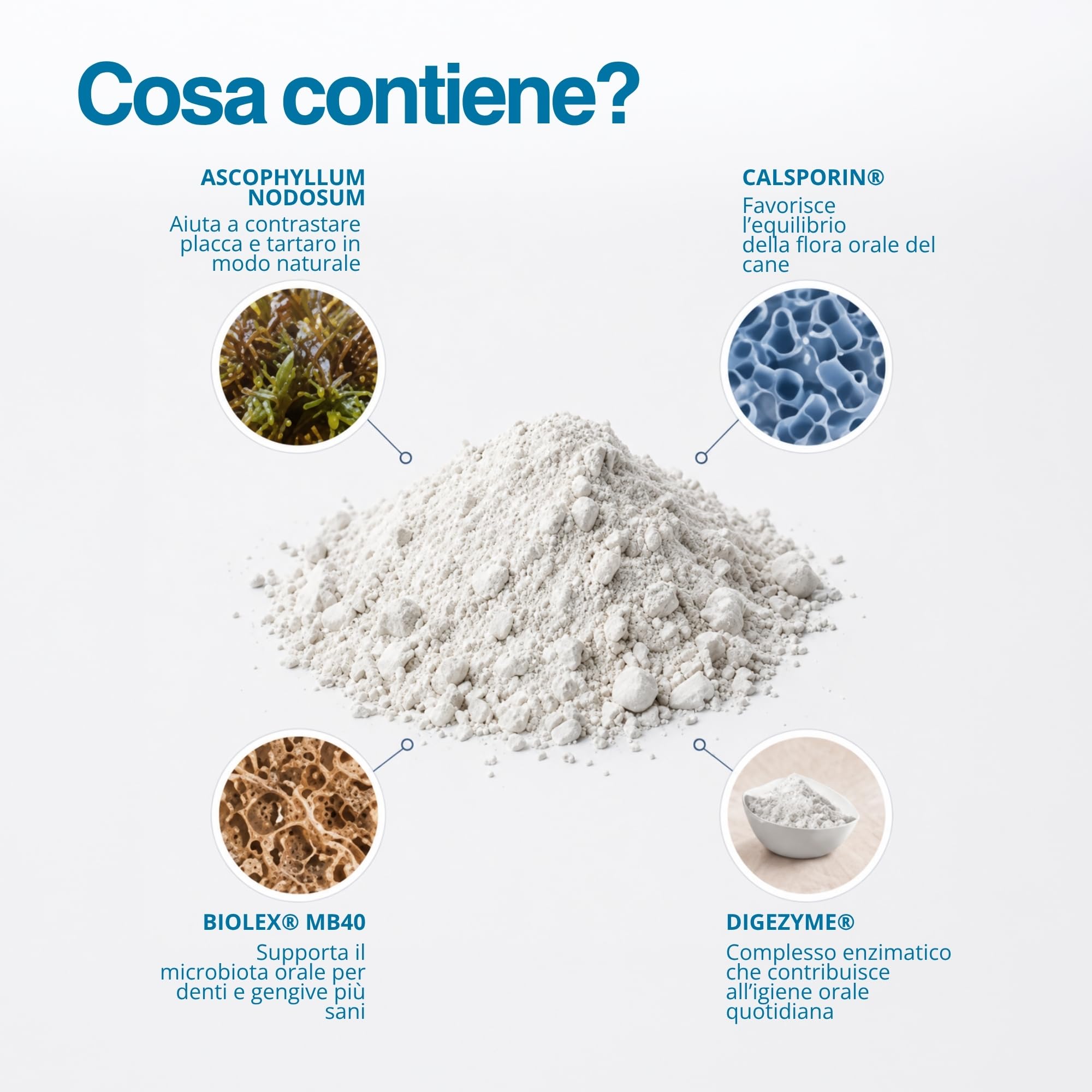 Sciogli Tartaro Denti Cane 180g Polvere Dentale per Cani Supporto Alito Cane Protezione Denti Gengive per Placca e Tartaro con Ingredienti Naturali Mangime Complementare Alta Appetibilità Igiene Orale