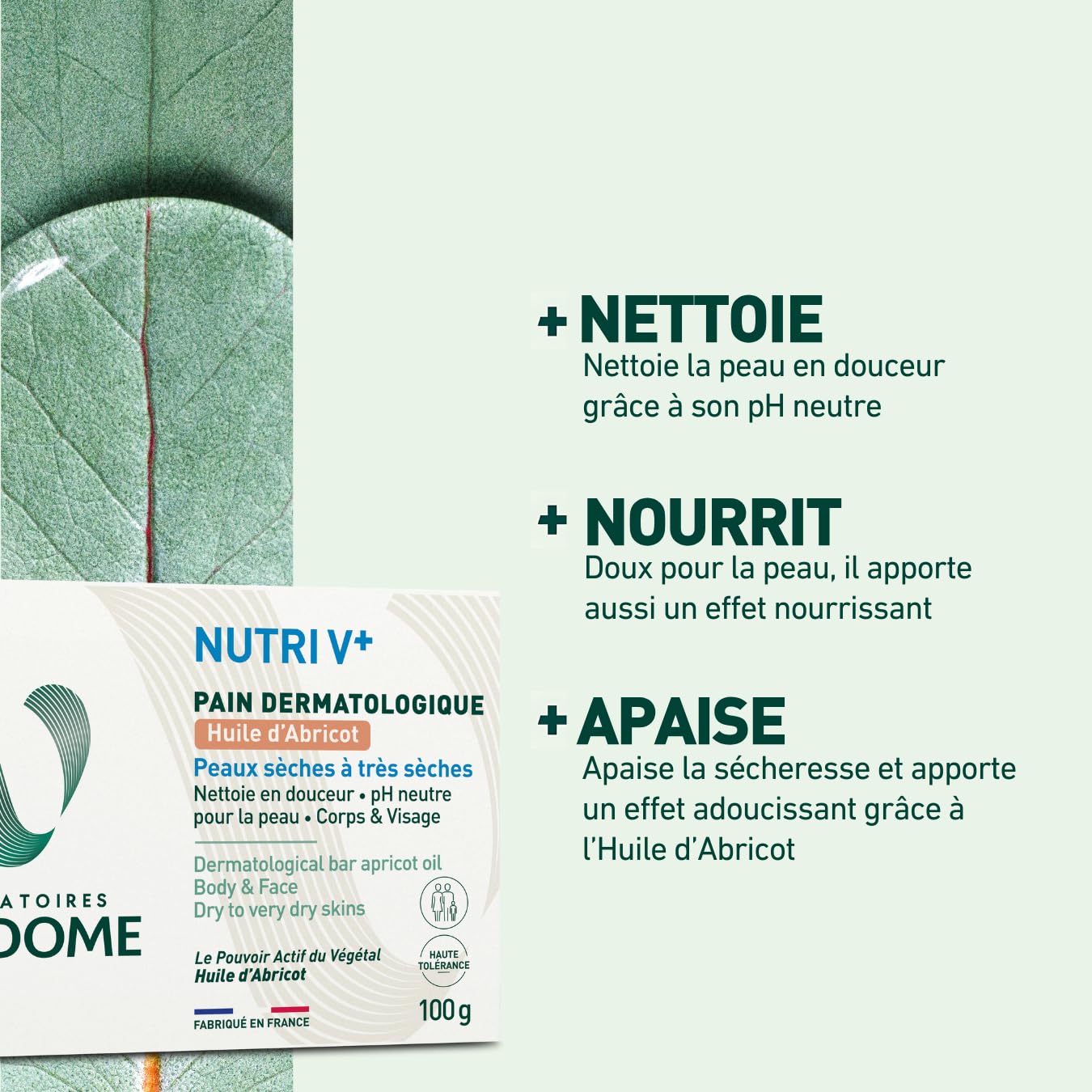 LABORATOIRES VENDÔME - NUTRI V+ - Pain Dermatologique Huile d'Abricot - Corps & Visage - Nettoie en Douceur & Nourrit - pH Neutre & Sans Savon - Haute Tolérance - Peaux Sèches à Très Sèches - 100g
