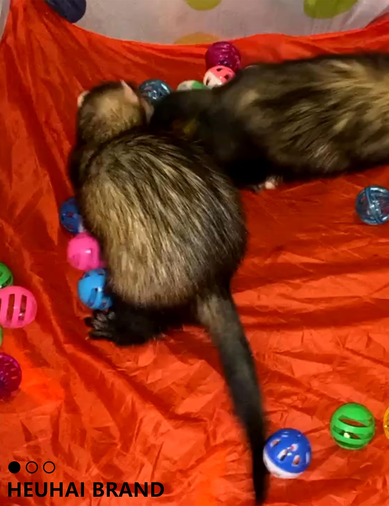 10-Pack Resilient Ferret Toys, Colorful Teething Balls, Bells, Interactive Stimulation, Easy-Clean for Oral Health (1.5'' - 2.7'', Ferret Toys Mega Set) 2