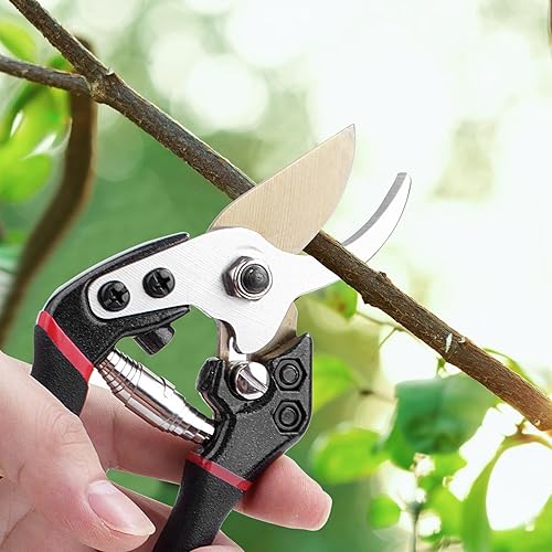 Miniatura 5 de Tijeras de podar profesionales herramienta de jardinería ideal para podar arbustos y podar árboles