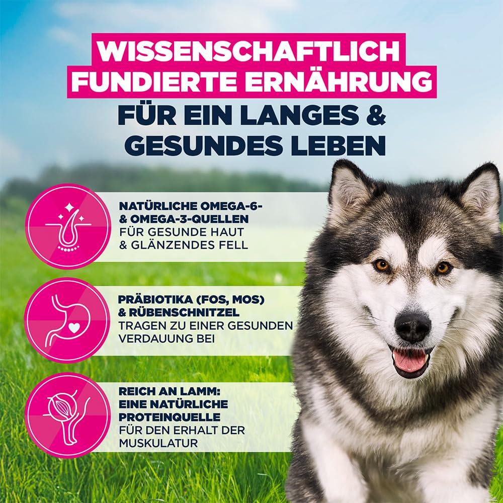 Eukanuba Hundefutter Trocken mit Lachs und Gerste für große Rassen - Premium Trockenfutter für ausgewachsene Hunde, 12 kg