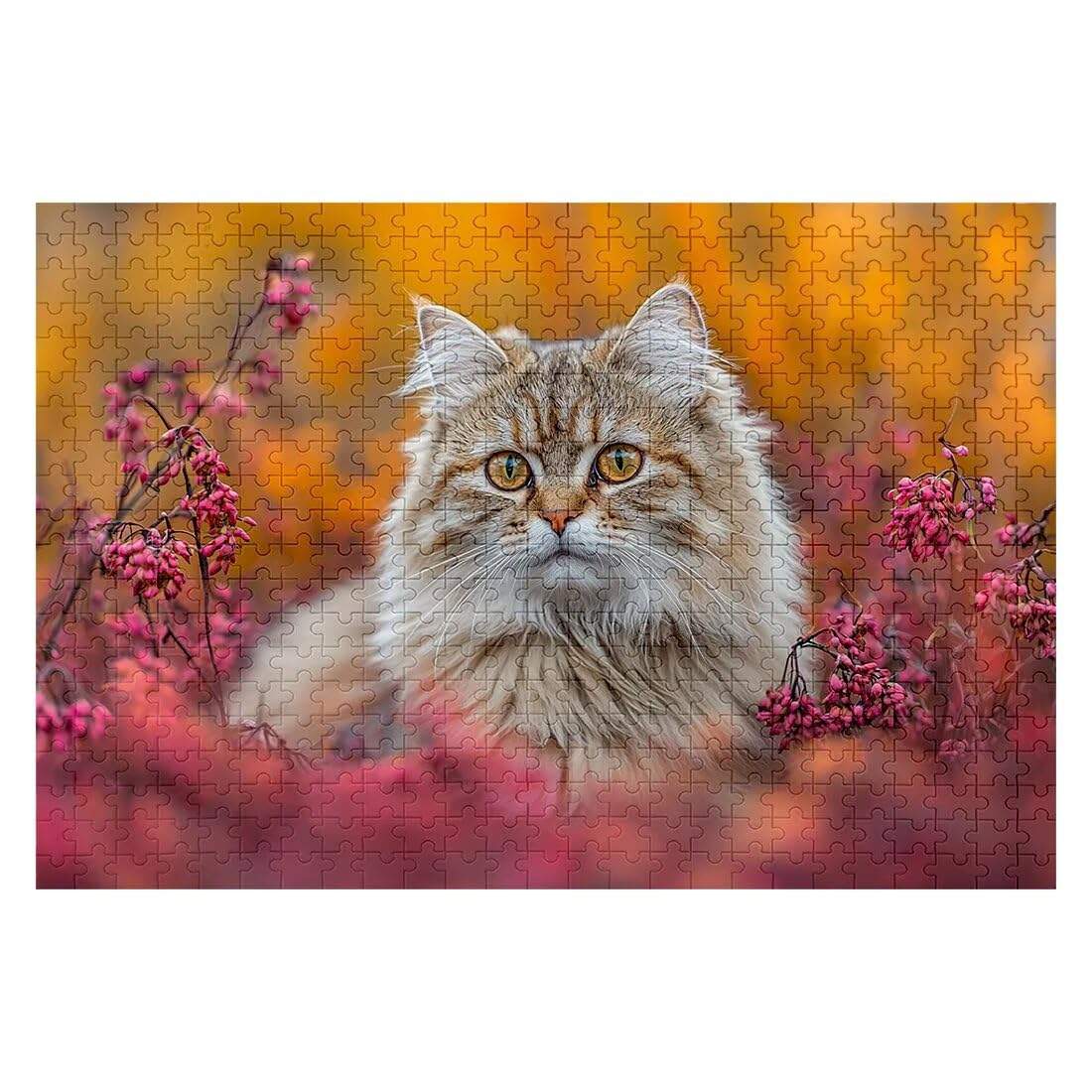 Puzzle 5000 sztuk kot puzzle roślina wymiary 156 x 105 cm puzzle dla dorosłych kreatywna rozrywka, śmieszne klasyczne puzzle zabawki edukacyjne dekoracja oryginalne prezenty dla kobiet L-46