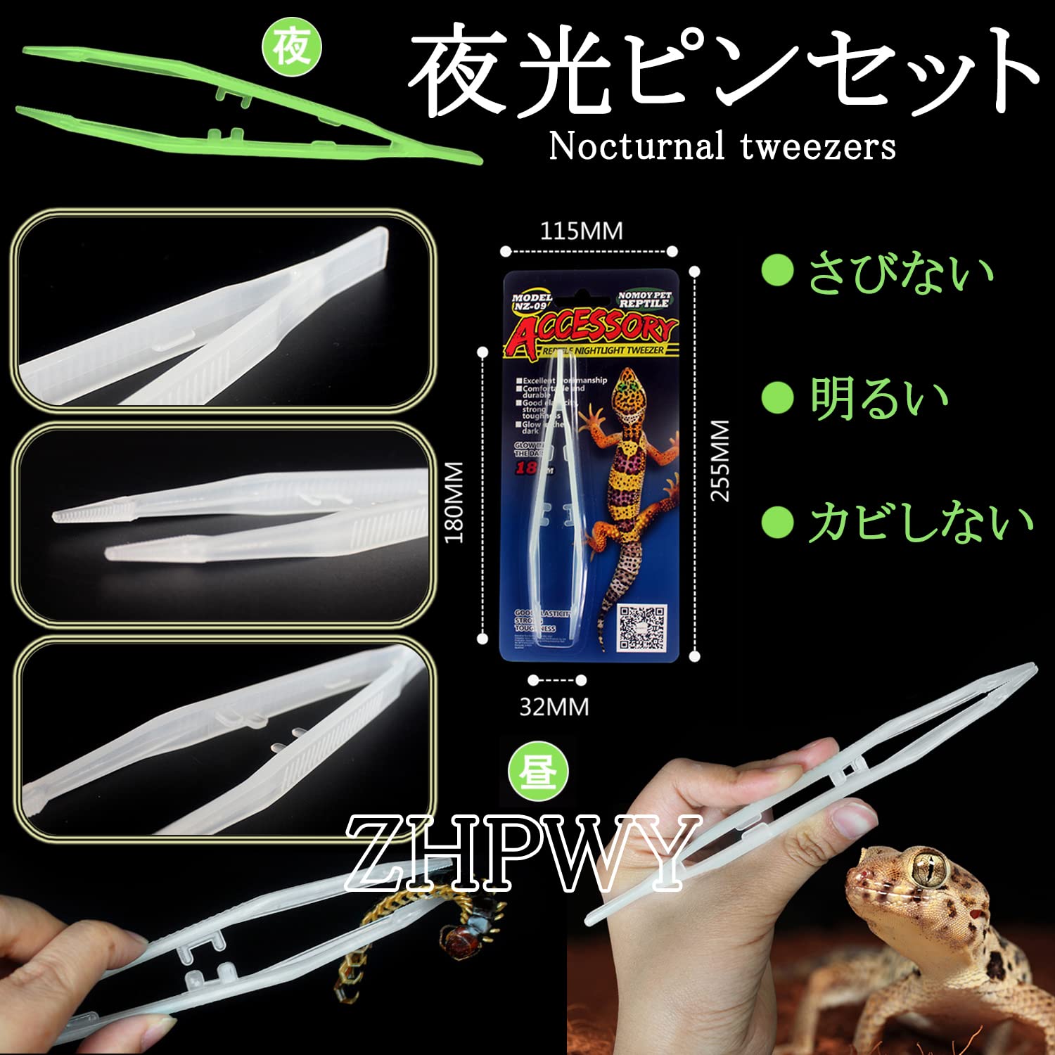 Amazon | ウォーターディッシュ 爬虫類 両生類 水飲み場 給餌