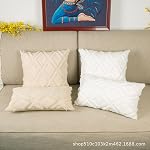 2Pcs Couvertures d'oreillers à jet de fourrure souple 18x18 - Couvre-oreillers décoratifs en velours de laine courte en peluche - Couvertures d'oreiller en canapé pour le salon - avec 3D Modèle (blanc)