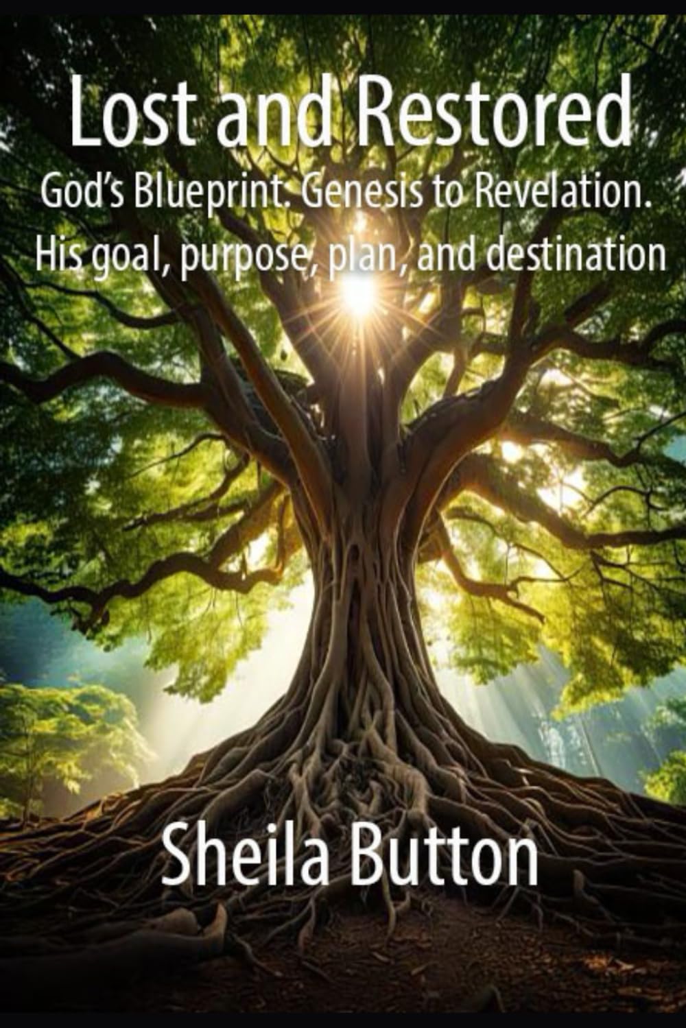 Lost and Restored: God's Blueprint. Genesis to Revelation. His goal, purpose, plan, and destination