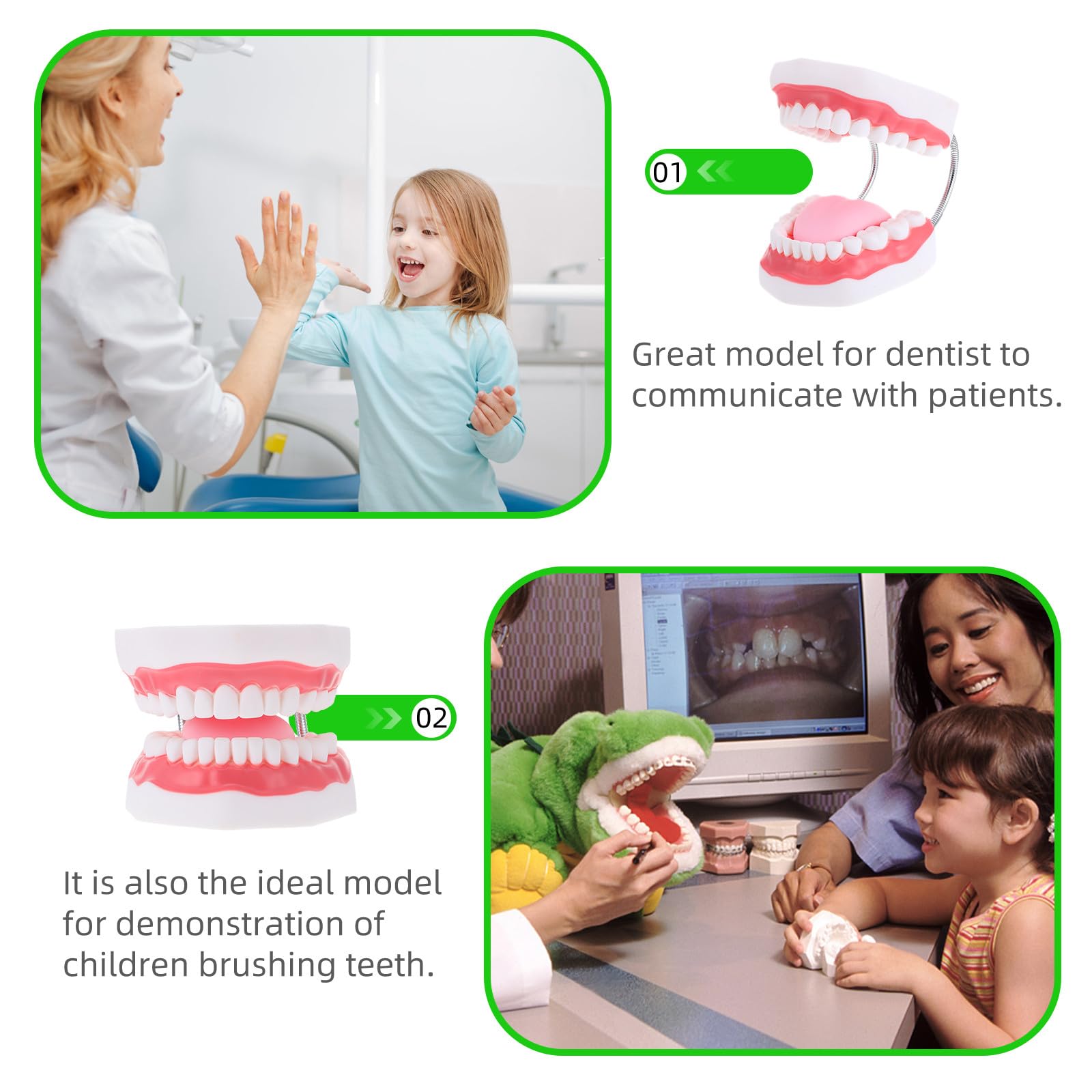 Zahnmodell 1 Stück Pvc Weiß mit Zahnbürste, Lernspielzeug für Kinder | Model Lehrmittel, Zahnreinigungsspielzeug für Eltern Kind Kommunikation, Schulanfang Party