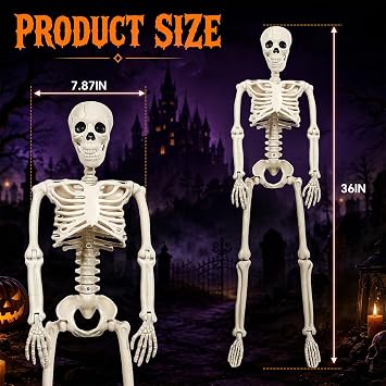 3Ft Halloween Decorations Outdoor/indoor, Two 36 Realistic Skull Skeletons