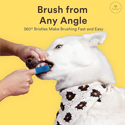 Miniatura 20 de Jasper Cepillo de dientes para perros, kit de cepillado de dientes de perro de 360 grados, cepillo de dientes para gatos, kit de cuidado dental