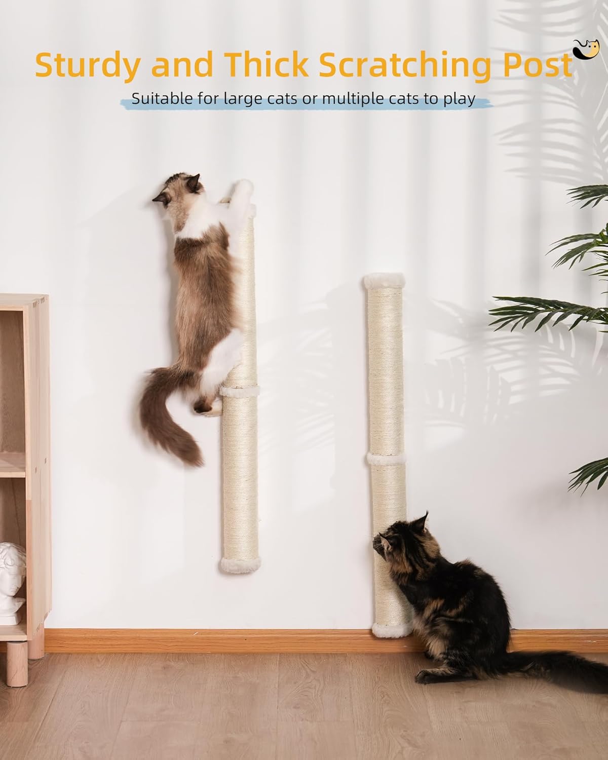 review Cat Wall Scratcher, 2-Pack, 34