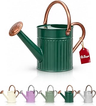 Bamworld Metal Watering Can for Indoor Outdoor Plant 1/2 Gallon Deep Green