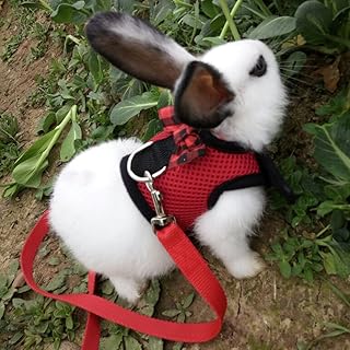 Layboo Soft Mash Rabbits Harness with Leash Reflective for Dogs Cats Bunny Freedom Walking (S, RED)