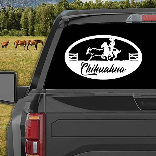 Vista 75 de Jalisco Stickers - Calcomanías de vinilo para carros Diseño Charro de México, Calcomanias para Trocas y Carros (12 x 7 pulgadas, Jalisco)