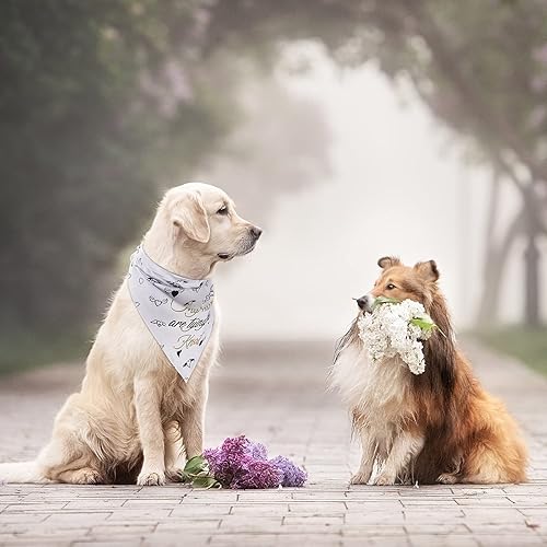 Miniatura 6 de Frienda Bandana de boda para perro, 4 unidades, My Humans are Getting Married, bandana para mascotas, bufanda para perro, anuncio de compromiso para