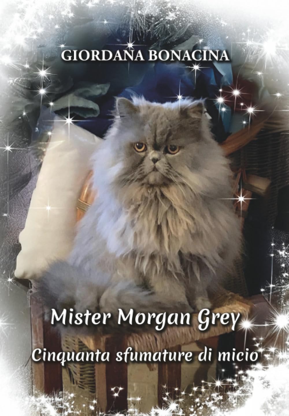 Mister Morgan Grey: cinquanta sfumature di micio