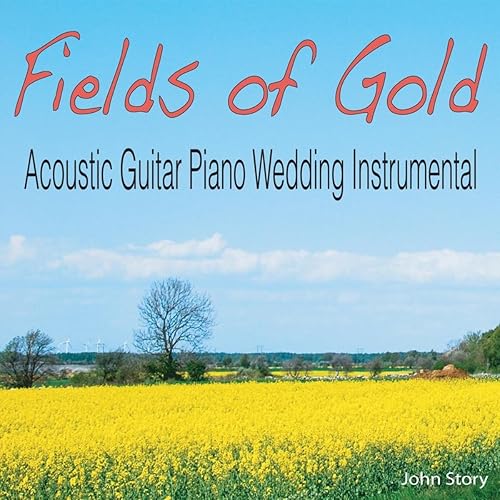Fields of Gold (Acoustic Guitar Piano Wedding Instrumental) von John