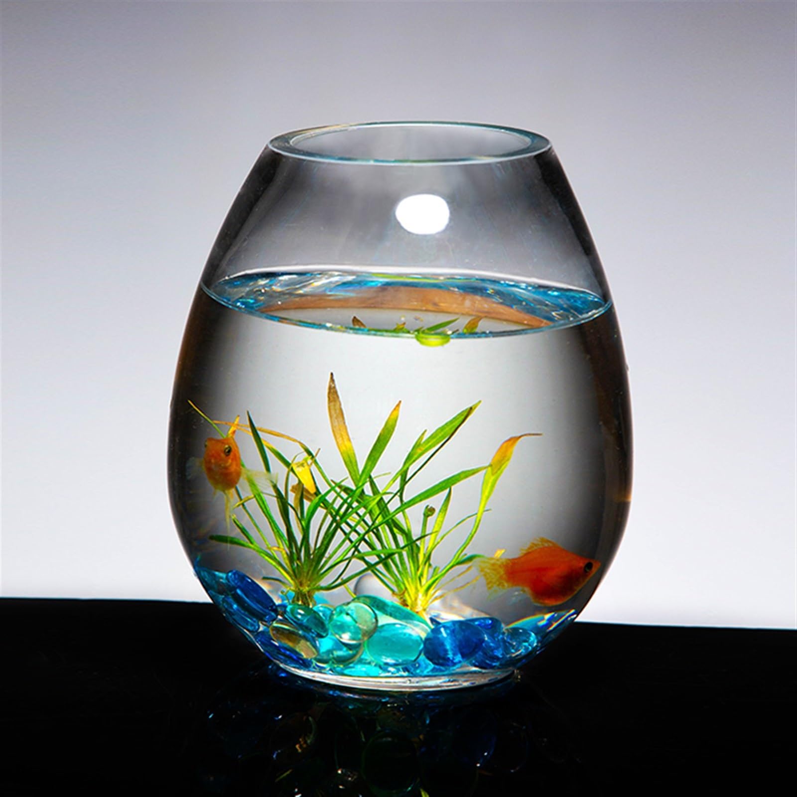 Petit aquarium en verre pour poissons rouges de combat, décoration de salon