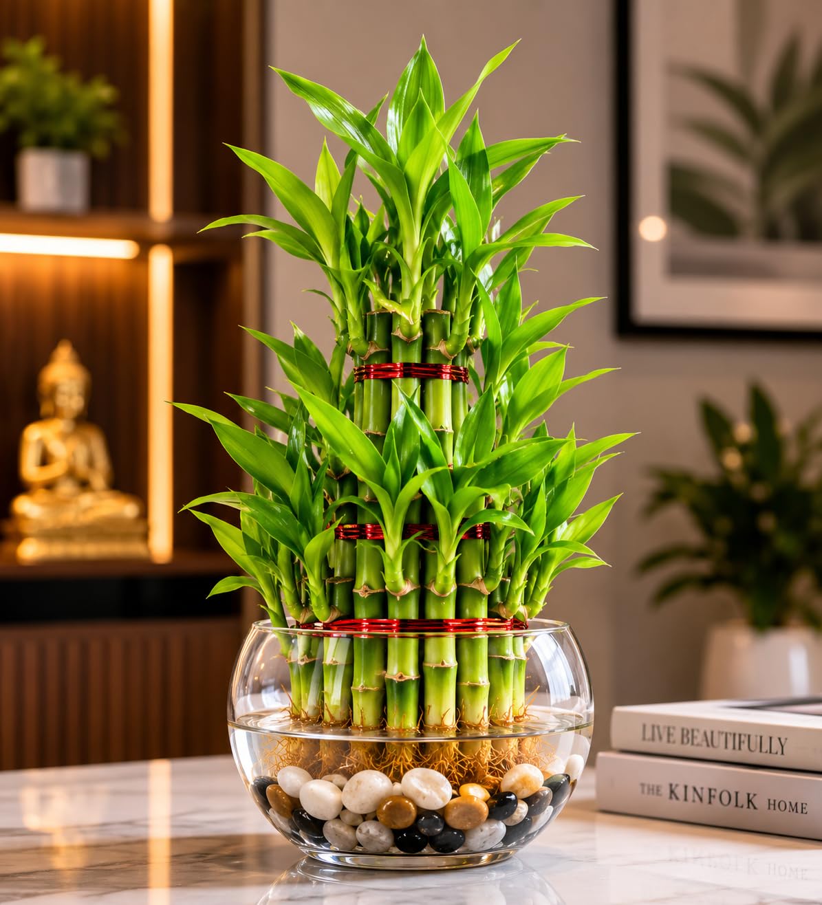 3 Layer Lucky Bamboo Live Plant in Premium Glass Bowl with Decorative Pebbles | Indoor Tabletop Plant for Home & Office Decor | Feng Shui Good Luck & Prosperity Plant | Low Maintenance Gift.-image-15