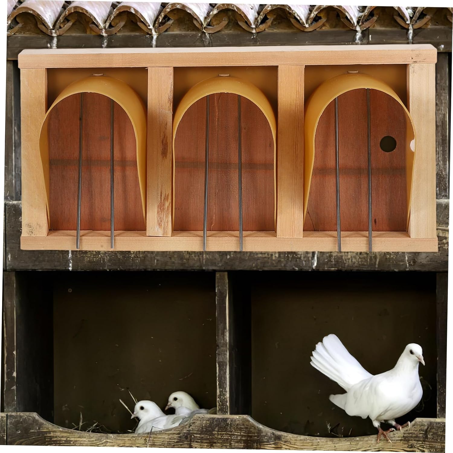 European Pigeon Cage Install Bird House Entrance with Detachable Design Durable Wood Accessory for Birdcage Pigeons and Birds