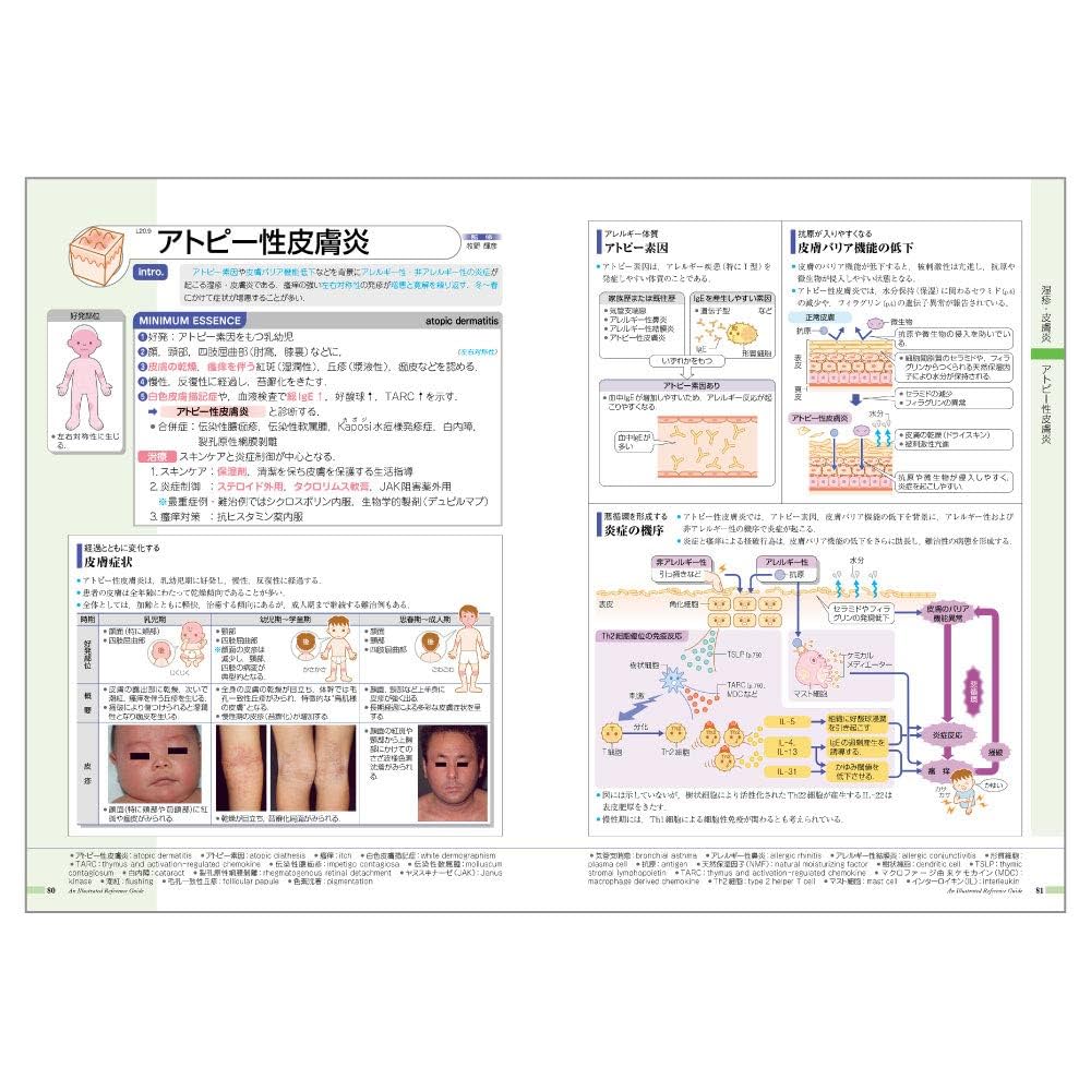 病気がみえる 全14巻セット 2025年最新】病気 が みえる 全巻 セットの人気アイテム - メルカリ