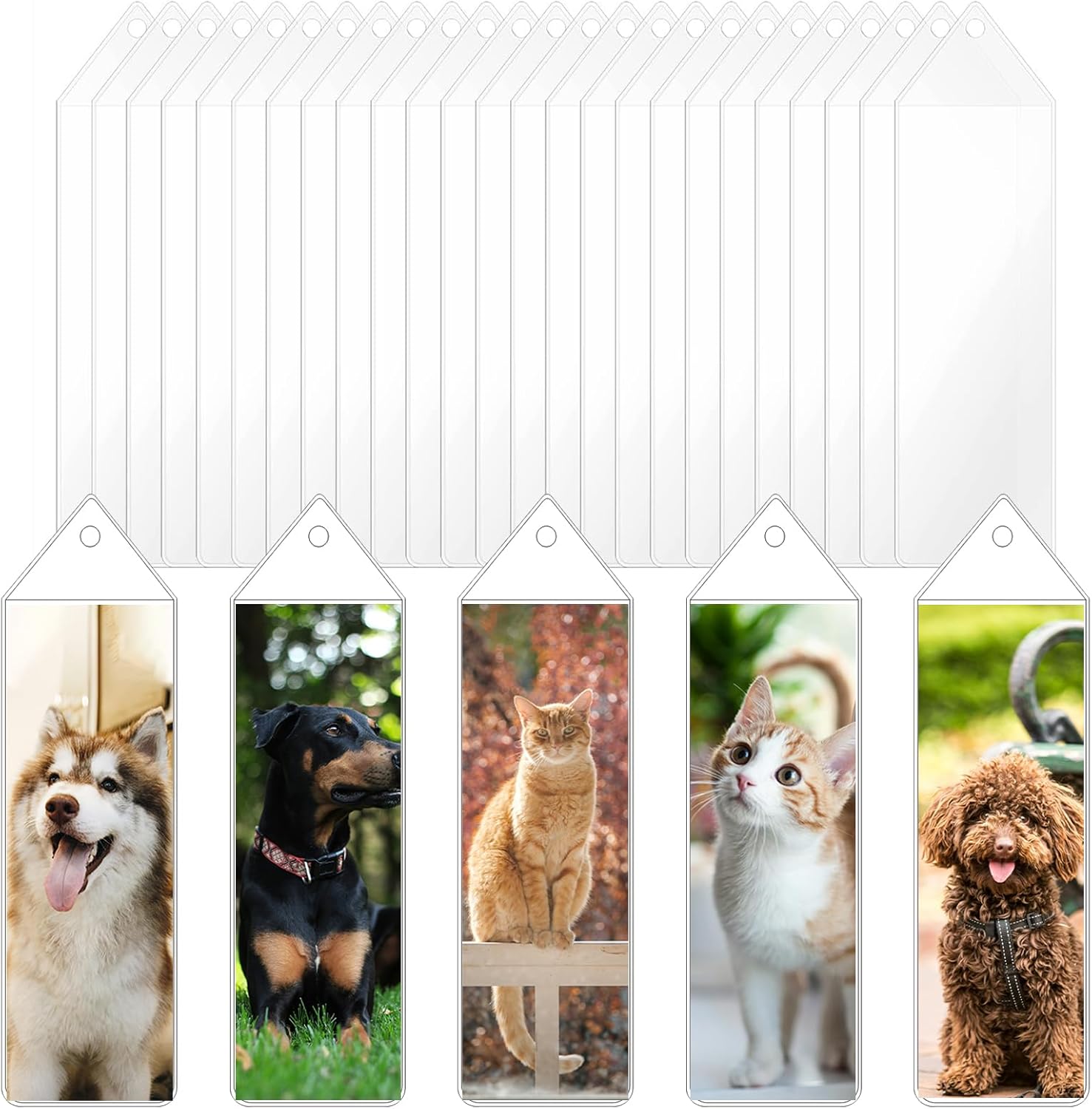 しおり ブックマーク30枚セット 押し花 透明 クリア 防水 英字 おしゃれ 花 フラワー 美麗 ひまわり グリーン 鈴蘭 チューリップ バラ  パープル イエロー : ドールハウスと雑貨 moin moin - 通販 - Yahoo!ショッピング 透明しおりスリーブ 90枚パック プラスチックブックマークパッケージ 6.5 x 2.3インチ