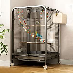 Signs Your Bird Needs a Bigger Cage: What to Watch For - Will Need Removable Parrot Bird Cage Tray