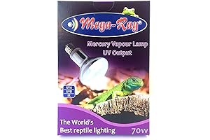 Mega-Ray Mercury Vapor Bulb: Illuminate Your Space with Brilliant Mercury Vapor