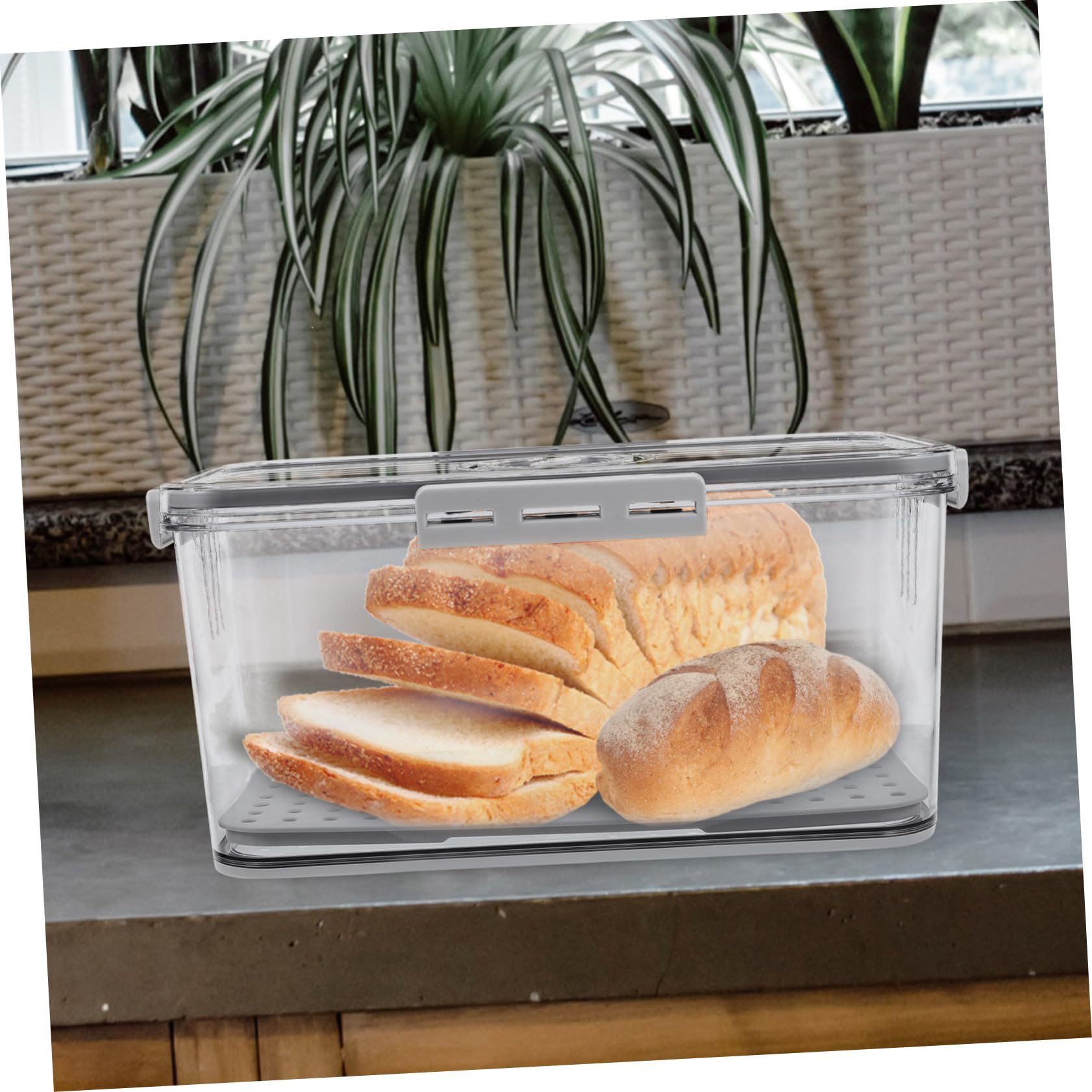 Baluue Caja de Almacenamiento para Pan con Cierre Hermético Lados y Temporizador Contenedor Transparente para Frutas y Verduras Caja Plástica con Tapa Sellada para Refrigerador y Cocina